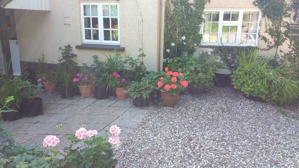 Brambles Bed And Breakfast Tiverton  Zewnętrze zdjęcie