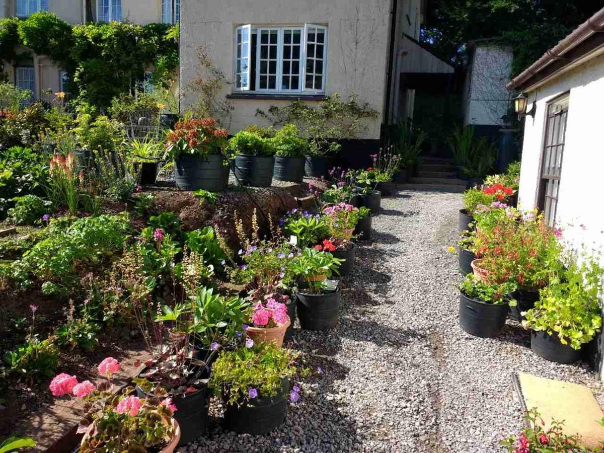 Brambles Bed And Breakfast Tiverton  Zewnętrze zdjęcie